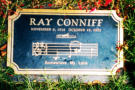 Ray's grave